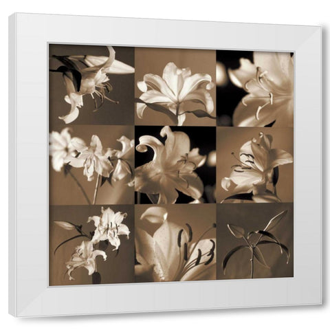 Lily Garden White Modern Wood Framed Art Print by Kelly, Caroline