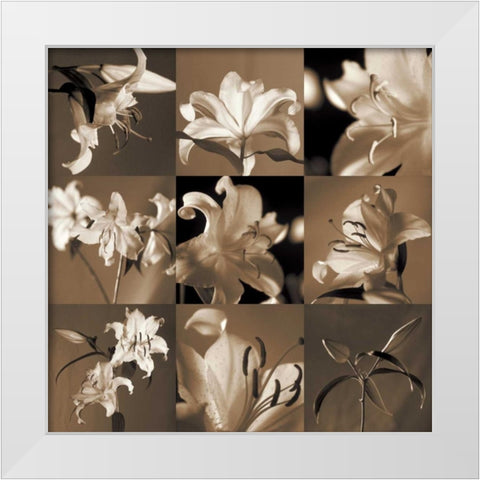 Lily Garden White Modern Wood Framed Art Print by Kelly, Caroline