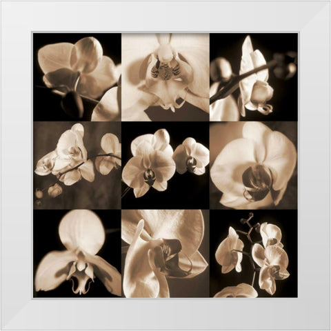 Orchid Bouquet White Modern Wood Framed Art Print by Kelly, Caroline