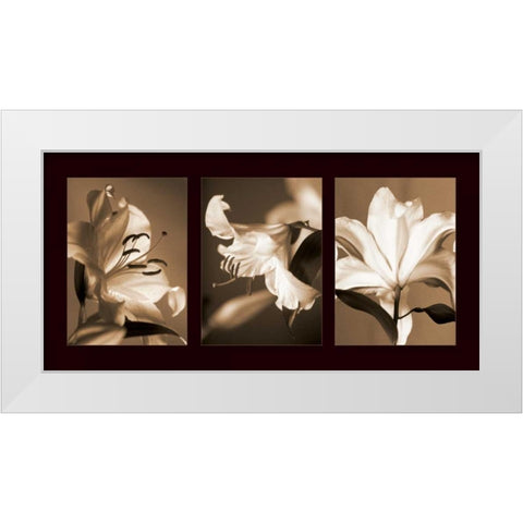 Lily Trio White Modern Wood Framed Art Print by Kelly, Caroline
