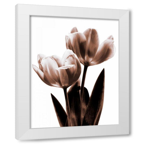 Tulip in Sepia II White Modern Wood Framed Art Print by Kelly, Caroline