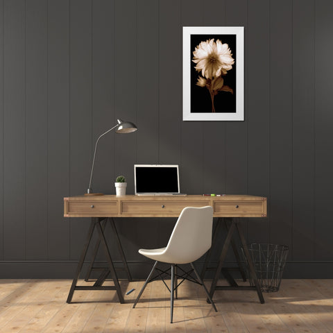 Dahlia II White Modern Wood Framed Art Print by Kelly, Caroline