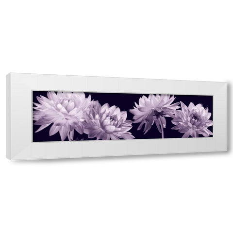 All in a Row White Modern Wood Framed Art Print by Kelly, Caroline