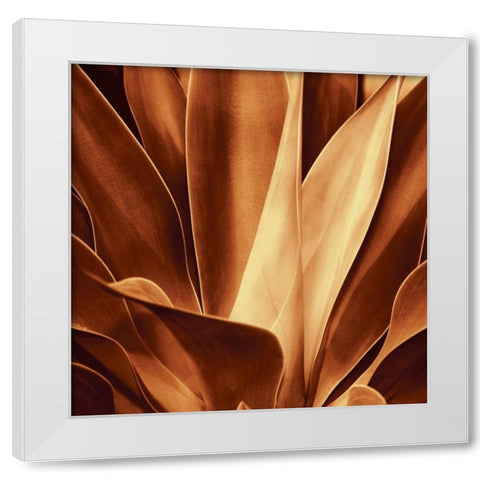Santa Fe I White Modern Wood Framed Art Print by Kelly, Caroline