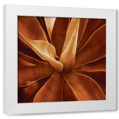 Santa Fe II White Modern Wood Framed Art Print by Kelly, Caroline