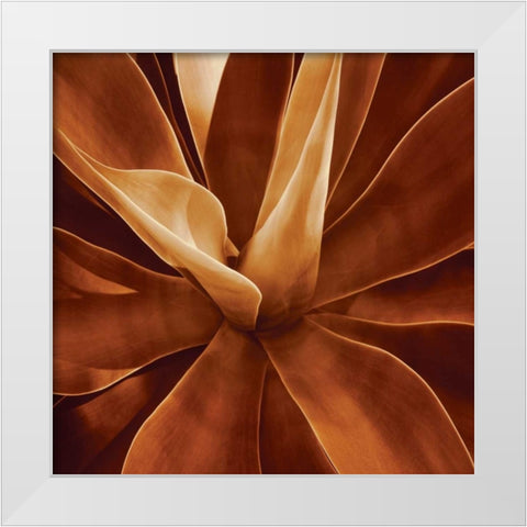 Santa Fe II White Modern Wood Framed Art Print by Kelly, Caroline