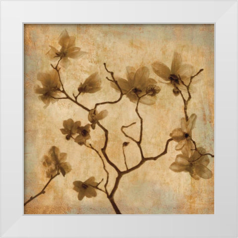 Magnolias I White Modern Wood Framed Art Print by Kelly, Caroline