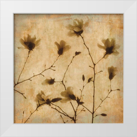 Magnolias II White Modern Wood Framed Art Print by Kelly, Caroline