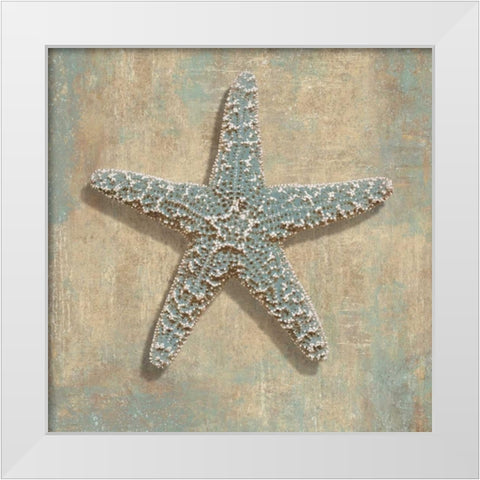Aqua Starfish White Modern Wood Framed Art Print by Kelly, Caroline