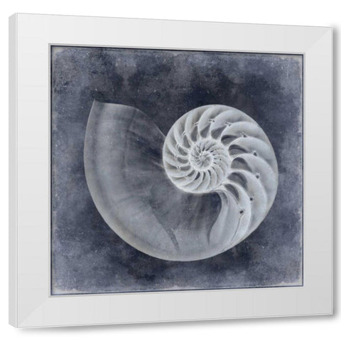 Ocean Blue IV White Modern Wood Framed Art Print by Kelly, Caroline