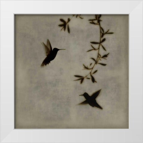 Dance in Flight I White Modern Wood Framed Art Print by Donovan, Chris