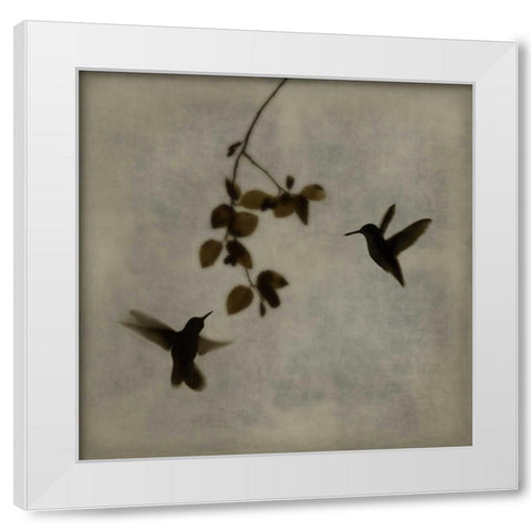 Dance in Flight II White Modern Wood Framed Art Print by Donovan, Chris