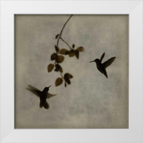 Dance in Flight II White Modern Wood Framed Art Print by Donovan, Chris