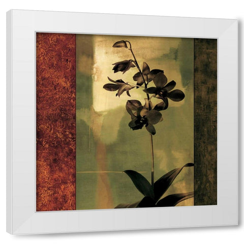 Mesmerized II White Modern Wood Framed Art Print by Donovan, Chris