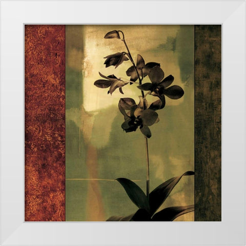 Mesmerized II White Modern Wood Framed Art Print by Donovan, Chris