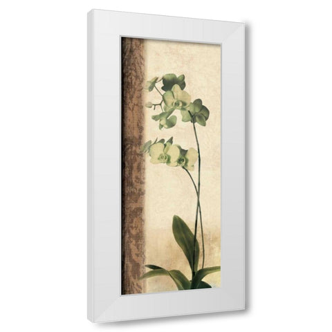 Dreamweaver I White Modern Wood Framed Art Print by Donovan, Chris