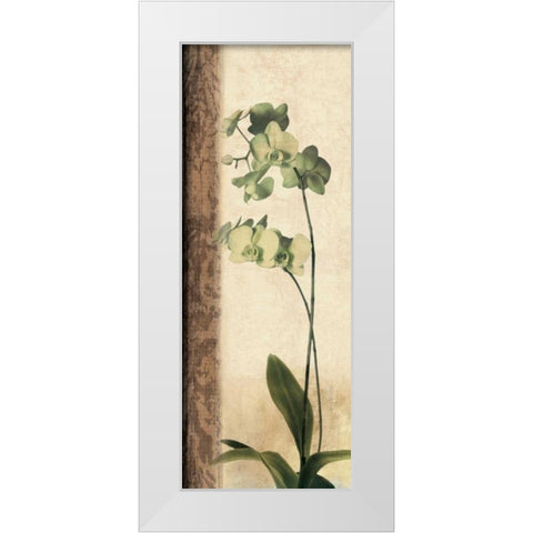 Dreamweaver I White Modern Wood Framed Art Print by Donovan, Chris