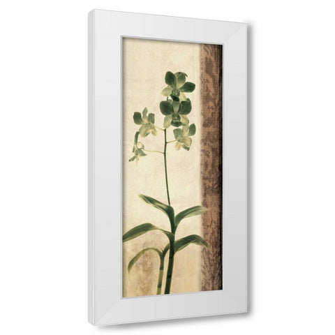 Dreamweaver II White Modern Wood Framed Art Print by Donovan, Chris