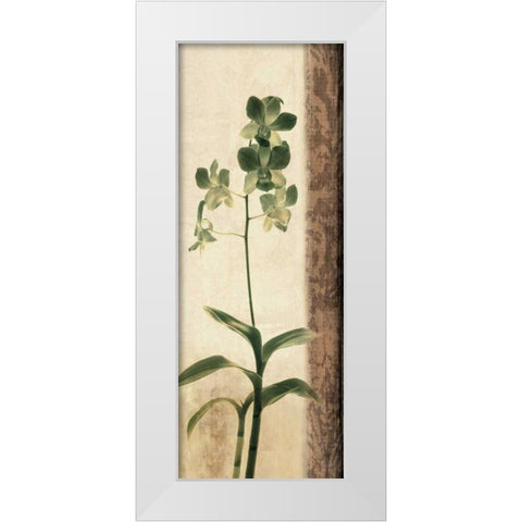 Dreamweaver II White Modern Wood Framed Art Print by Donovan, Chris