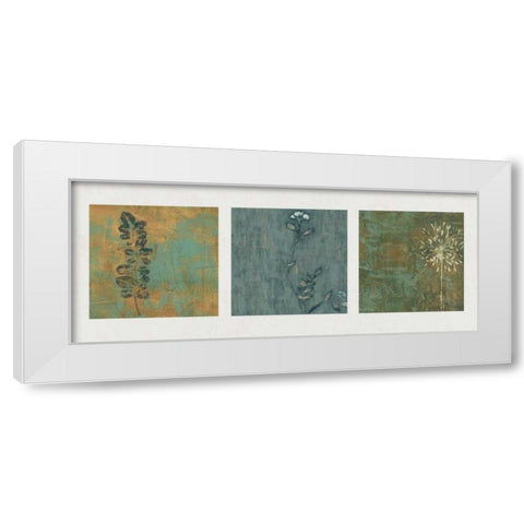 Nature Path White Modern Wood Framed Art Print by Donovan, Chris