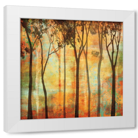 Magical Forest I White Modern Wood Framed Art Print by Donovan, Chris