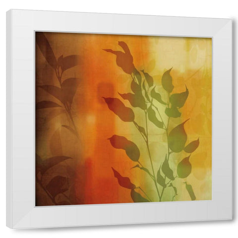 Natures Glow I White Modern Wood Framed Art Print by Donovan, Chris