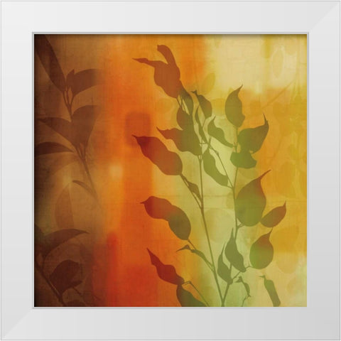 Natures Glow I White Modern Wood Framed Art Print by Donovan, Chris