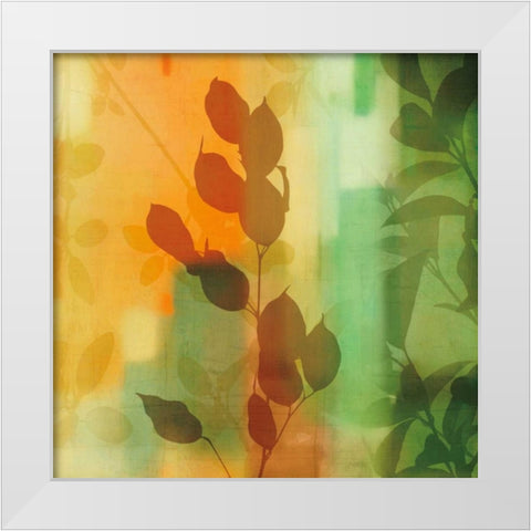 Natures Glow II White Modern Wood Framed Art Print by Donovan, Chris