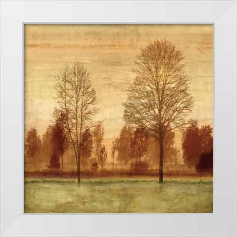 Golden Sunrise I White Modern Wood Framed Art Print by Donovan, Chris