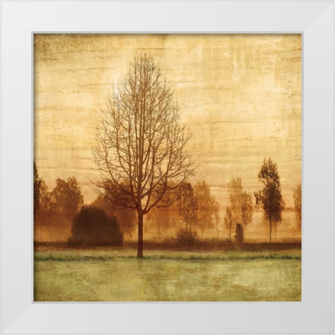 Golden Sunrise II White Modern Wood Framed Art Print by Donovan, Chris