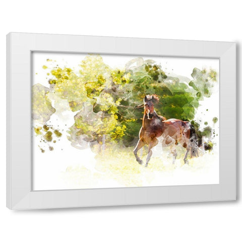 Stallion I White Modern Wood Framed Art Print by Young, Chamira