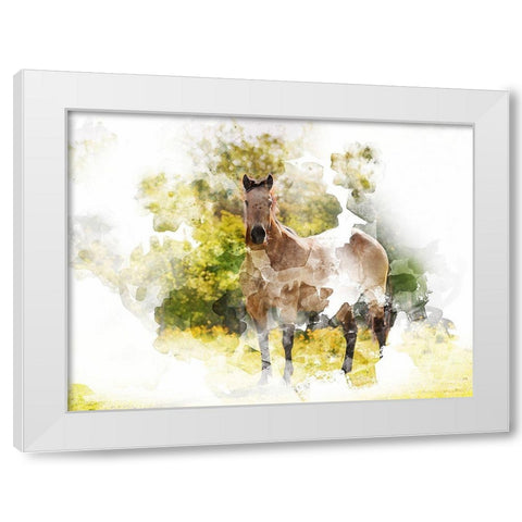 Stallion II White Modern Wood Framed Art Print by Young, Chamira