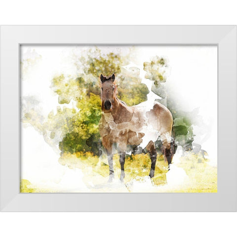 Stallion II White Modern Wood Framed Art Print by Young, Chamira