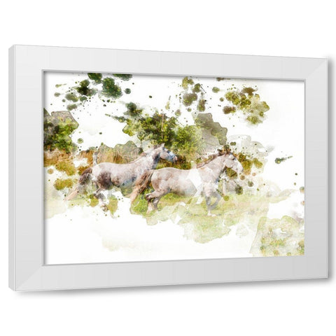 Stallions White Modern Wood Framed Art Print by Young, Chamira