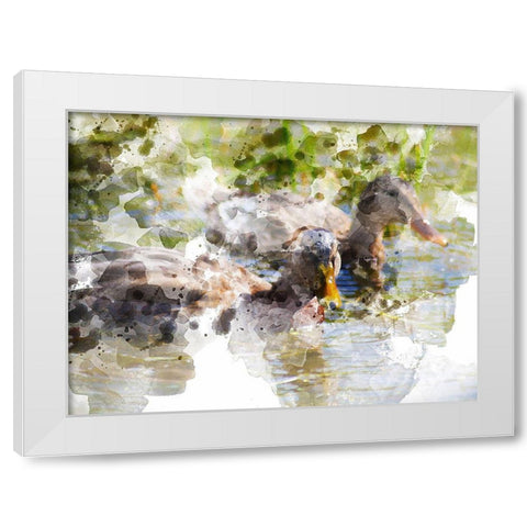 Ducks in Float I White Modern Wood Framed Art Print by Young, Chamira