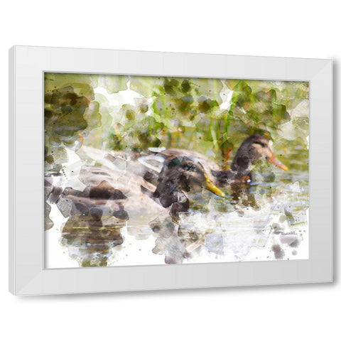 Ducks in Float II White Modern Wood Framed Art Print by Young, Chamira