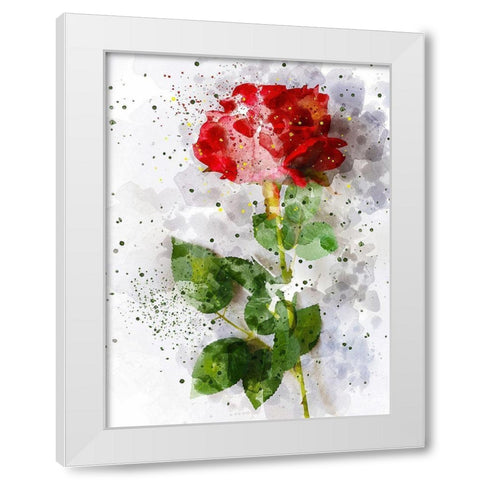 Rose in Bloom White Modern Wood Framed Art Print by Young, Chamira