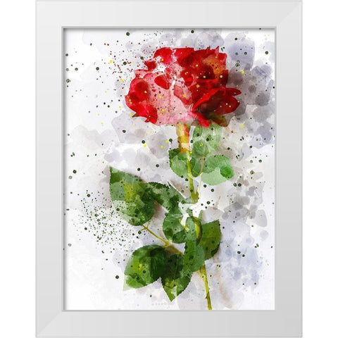 Rose in Bloom White Modern Wood Framed Art Print by Young, Chamira