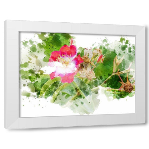 Floral in Bloom XIII White Modern Wood Framed Art Print by Young, Chamira