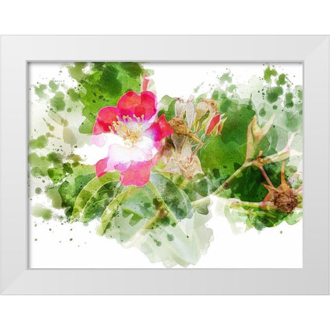 Floral in Bloom XIII White Modern Wood Framed Art Print by Young, Chamira