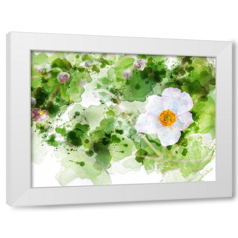 Floral in Bloom XXII White Modern Wood Framed Art Print by Young, Chamira