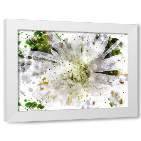 Floral in Bloom XXIII White Modern Wood Framed Art Print by Young, Chamira