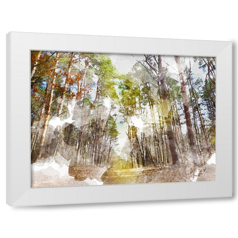 Forest Road I White Modern Wood Framed Art Print by Young, Chamira