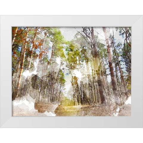 Forest Road I White Modern Wood Framed Art Print by Young, Chamira
