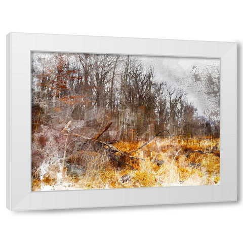 Autumn Forest I White Modern Wood Framed Art Print by Young, Chamira