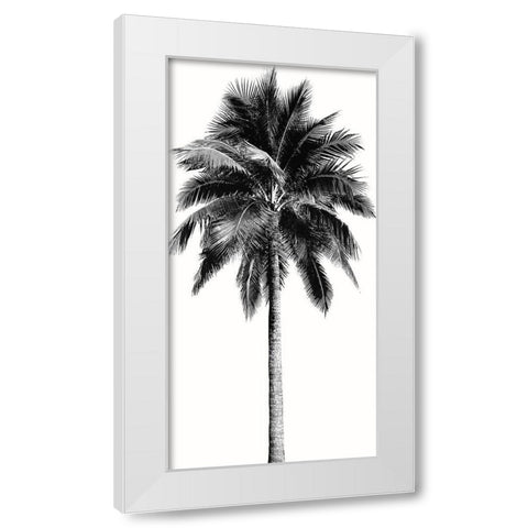 Palm Tree I White Modern Wood Framed Art Print by Blake, Madeline