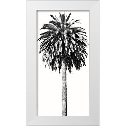 Palm Tree II White Modern Wood Framed Art Print by Blake, Madeline