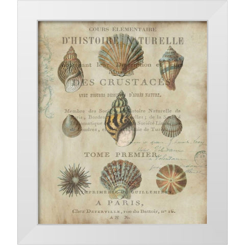 Shell Collection I White Modern Wood Framed Art Print by Devellier, Deborah
