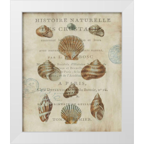 Shell Collection II White Modern Wood Framed Art Print by Devellier, Deborah