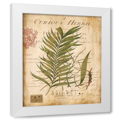 Palm Study I White Modern Wood Framed Art Print by Devellier, Deborah